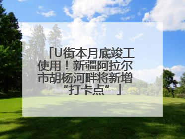 U街本月底竣工使用！新疆阿拉尔市胡杨河畔将新增“打卡点”